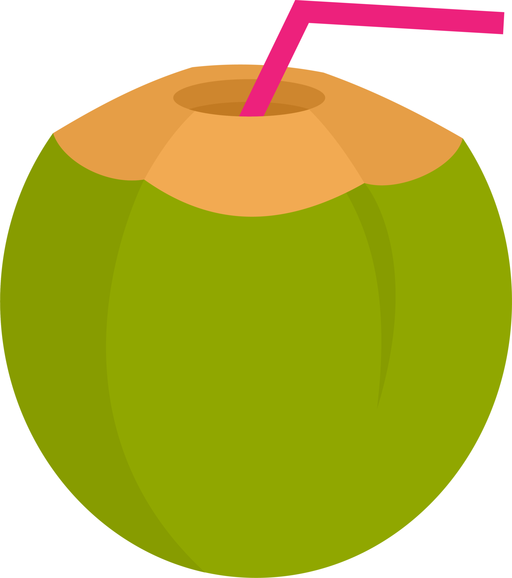 straw in a coconut icon