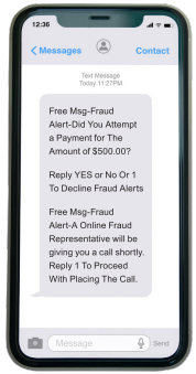 fraud message example