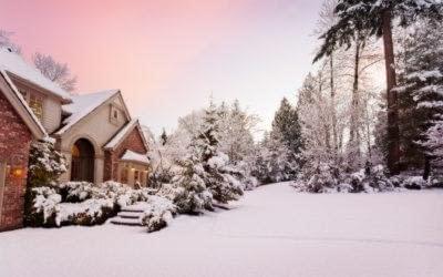January 2020 Newsletter