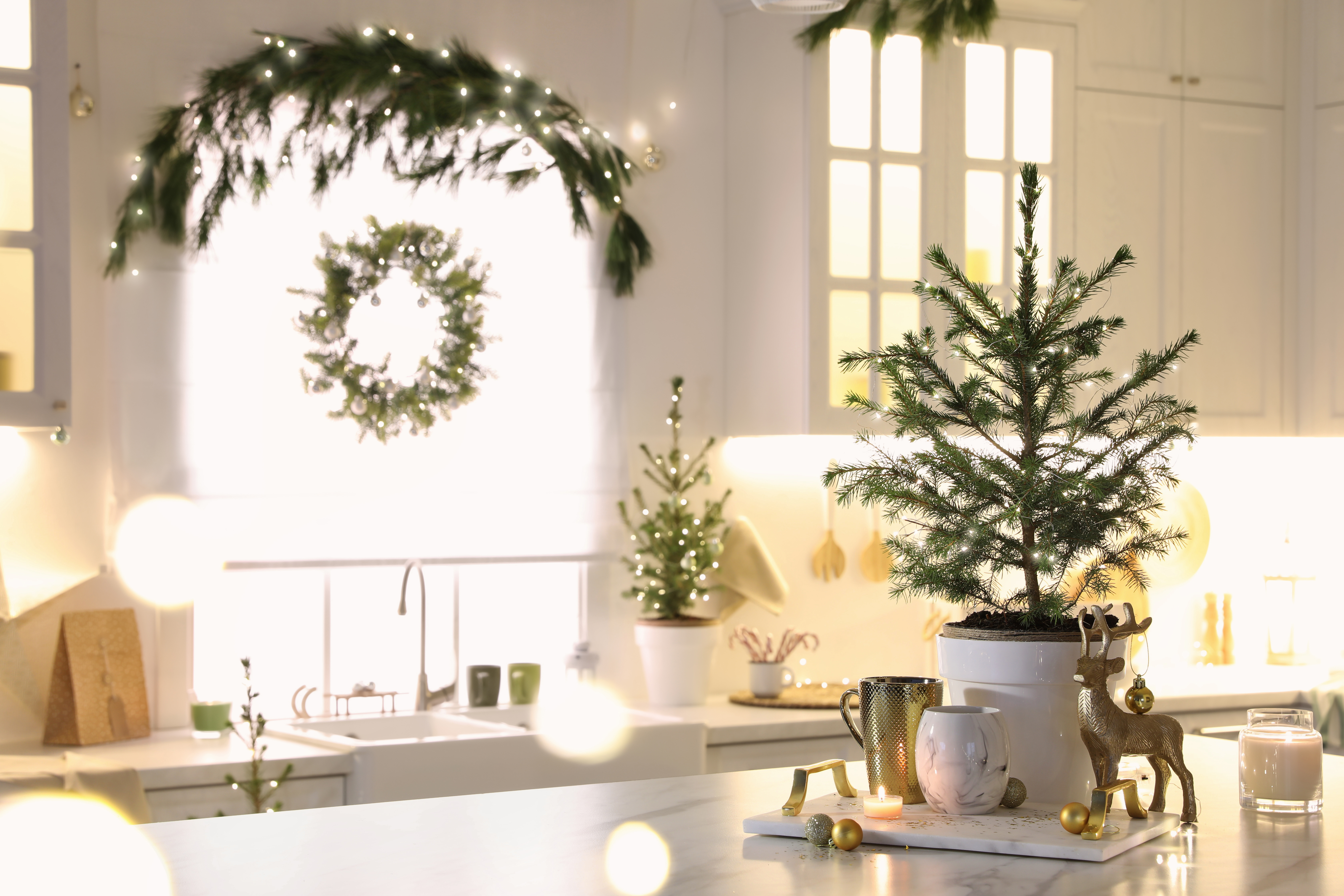New Kitchen