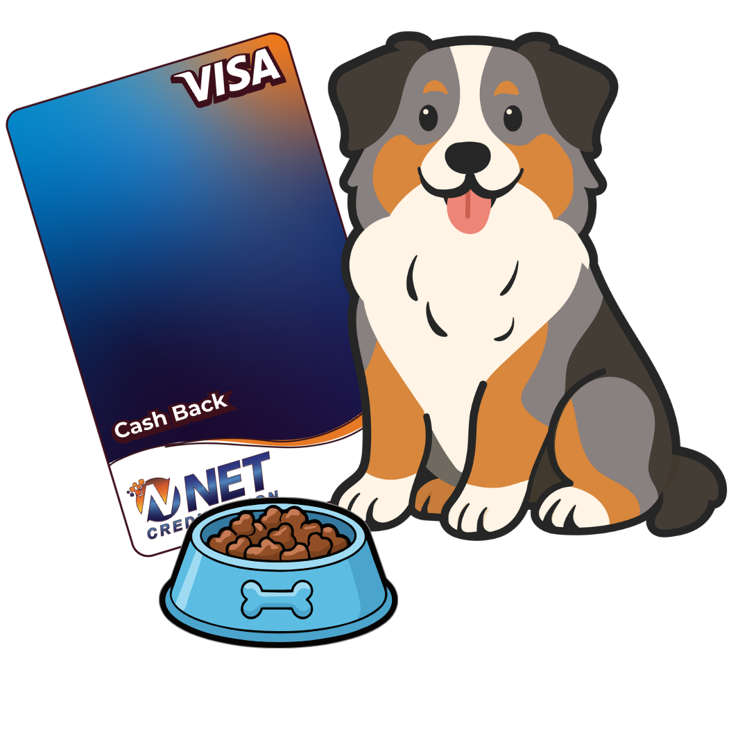 streaming subscriptions